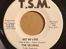 THE SALADOS Got No Love 45 on TSM Texas Garage HEAR