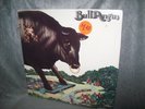 STILL SEALED    Bull Angus  