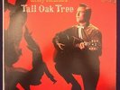 DORSEY BURNETTE Tall Oak Tree LP '60 ERA Mono Rockabilly Country Rock EX/NM-