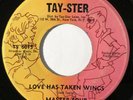 MASTER FOUR Love Has Taken Wings Tay-Ster Rare Northern Soul 45 HEAR
