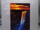 LP Modern Talking ?– In The Garden Of Venus 1987 German press