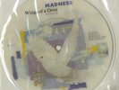 Madness 7
