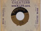 THE CHEATERS: You’re Mine RAYNARD Wisconsin Rare Sleeve Soul Garage 45 HEAR