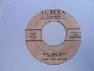 SONNY BOY WILLIAMS Alice Mae Blues DUPLEX Florida Jump Blues R&B Rocker 45 HEAR