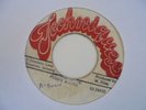 PUDDY ROOTS  Lovers Rock TECHNIQUES  Rub  a Dub Reggae 7