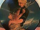 ROD STEWART BLONDES HAVE MORE FUN LP PICTURE DISC USA 1978 EX CON PRO CLEANED