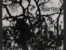 JEFF LIBERMAN: Synergy LP (private pressing '78, insert) rare Rock & Pop
