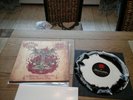 Archgoat/Surrender Of Divinity Split