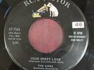 THE KINGS - 7