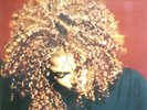 Janet Jackson ?- The Velvet Rope 2 x LP - R&B Album - Colored Vinyl Record