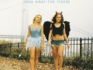 Manic Street Preachers - Send Away The Tigers - ID15z - vinyl LP