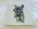 StarFox Soundtrack Vinyl Record LP - Hajime Hirasawa SNES VGM Rare OOP
