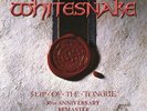 Whitesnake - Slip Of The Tongue (2019 Remaster) Vinyl LP (2) Parlophone Lab NEU