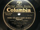 78 RPM  JAZZ  Columbia 1968-D: Merle Johnston Ceco Couriers - 1929 Hot