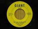 Lorraine Chandler soul 45 Tell Me Youre Mine bw What Can I Do Giant