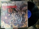 The Beach Boys Wild Honey Vinyl LP Chinese Printing