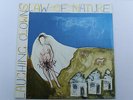 Laughing Clowns ?– Law Of Nature LP, Aus Original, Insert, VINYL MINT