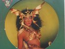 CHER TAKE ME HOME LP PICTURE DISC US 1979  EX