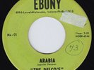 DELCO'S Arabia ORIG RARE first version 45 northern soul r&b doo wop Delcos HEAR