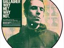 Gallagher Liam-Why Me? Why Not? (140 Gr 12 Picture Disc (UK IMPORT) VINYL LP NEW
