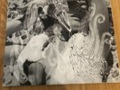 Björk 2-LP vinyl record (Double Album) Vespertine - White vinyl UK TPLP101LTD