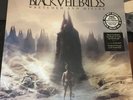 Wretched and Divine: The Story of the Wild Ones [2LP] Black Veil Brides