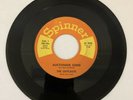 OUTCASTS: The Outcasts' Theme / Auctioneer Song 45 (quality intro) Oldies Record