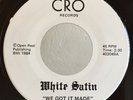 Ohio Punk Power Pop 45 White Satin We Got It Made on Cro HEAR M-