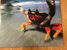 THE PRODIGY - FAT OF THE LAND - 2012 DOUBLE VINYL REISSUE - XLLP 121 -