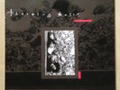 Throwing Muses Chains Changed 4AD UK IMPORT 1987 Vinyl EP Donelly Hersh Belly VG