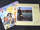 TEARS FOR FEARS 2Lp's THE HURTING & THE SEEDS OF LOVE