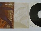 GANGWAY Sitting In The Park very rare UK white label vinyl LP test pressing