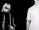 The MUFFS 'No Action 7