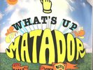 What's Up Matador 2 LP Pavement Yo La Tengo Guided By Voices Cat Power