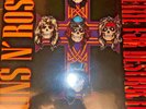 Guns N' Roses **Appetite For Destruction **Brand New LP Vinyl Record Reissue  DP