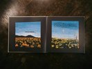 Super Rare Damien Rice O Deluxe Vinyl Limited to 1000 Worldwide