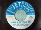 James Young Barkin' up the wrong tree Soul Funk 45 RPM 7