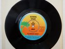 Burning Spear - Old Marcus Garvey / Tradition (1975) 7