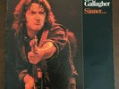 Rory Gallagher - Sinner...And Saint 1st Press Vinyl US 1975 LP ORG Rare VG+/VG+