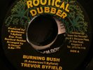 TREVOR BYFIELD BURNING BUSH/ NEGUS DUB on ROOTICAL DUBBER  WICKED DIGI ROOTS