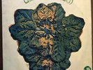 Ultimate Spinach - Ultimate Spinach - 1968 First UK Press - G+/VG+