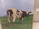 Pink Floyd Atom Heart Mother LP UK