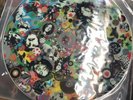 Led Zeppelin Live In Central Park Picture Disc Original Vinyl F-897