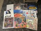 Red Hot Chili Peppers Complete Discography 11 Albums Vinyl LP