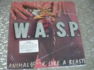 W.A.S.P. ?– 