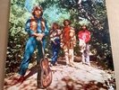 CREEDENCE CLEARWATER REVIVAL   Green River   UK Liberty '69 1st Press LBS 83273