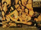 Die Toten Hosen - Love Peace & Money - Vinyl Lp, used, Free shipping, 1994
