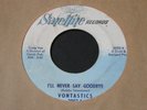 Vontastics   I'll Never Say Goodbye / Don't Mess Around   northern soul 45 HEAR
