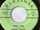 Robert Tanner 45 How I Feel b/w Tell Me Your Name RARE 60s Northern Soul VG+