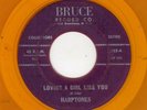 GREAT DOOWOP-HARPTONES-LOVING A GIRL LIKE YOU/HIGH FLYIN BABY-BRUCE 123